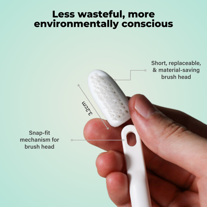 Oral SPA Toothbrush Head